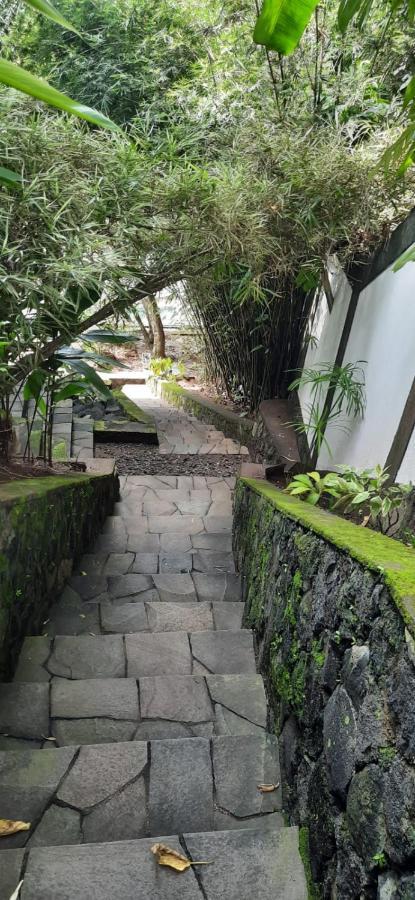 Guesthouse The 4 Fish マナド エクステリア 写真